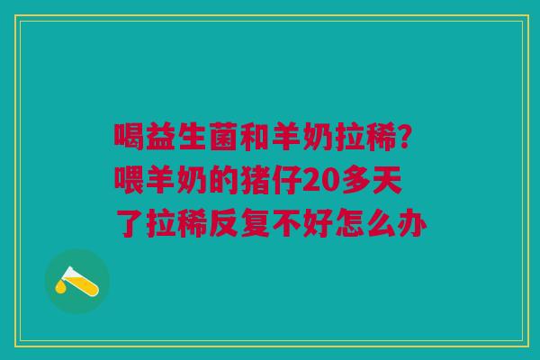 喝益生菌和羊奶拉稀？喂羊奶的猪仔20多天了拉稀反复不好怎么办