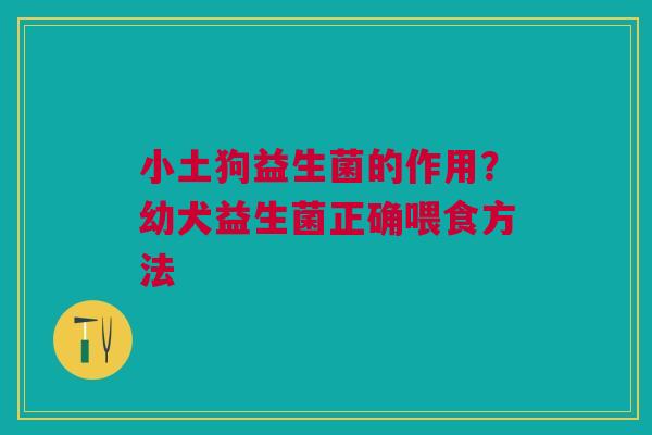 小土狗益生菌的作用？幼犬益生菌正确喂食方法