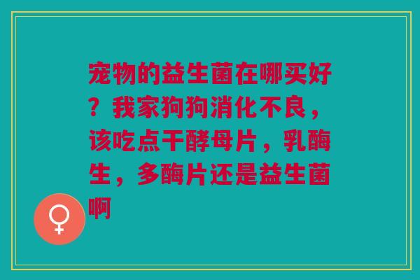 宠物的益生菌在哪买好？我家狗狗消化不良，该吃点干酵母片，乳酶生，多酶片还是益生菌啊