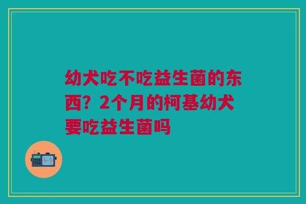 幼犬吃不吃益生菌的东西？2个月的柯基幼犬要吃益生菌吗