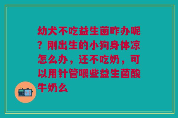 幼犬不吃益生菌咋办呢？刚出生的小狗身体凉怎么办，还不吃奶，可以用针管喂些益生菌酸牛奶么