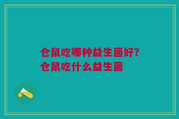 仓鼠吃哪种益生菌好？仓鼠吃什么益生菌