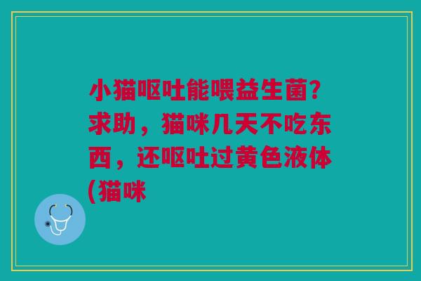 小猫呕吐能喂益生菌？求助，猫咪几天不吃东西，还呕吐过黄色液体(猫咪
