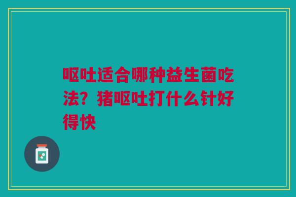 呕吐适合哪种益生菌吃法？猪呕吐打什么针好得快