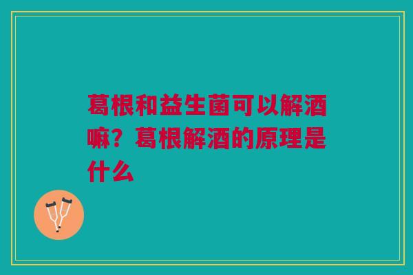 葛根和益生菌可以解酒嘛？葛根解酒的原理是什么