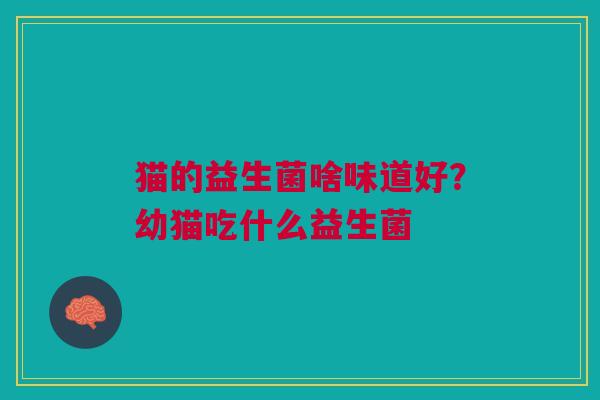 猫的益生菌啥味道好？幼猫吃什么益生菌