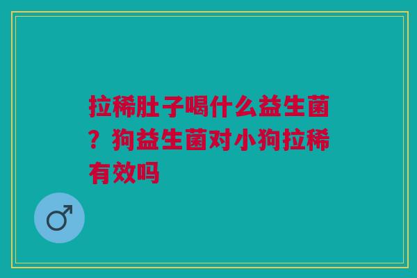 拉稀肚子喝什么益生菌？狗益生菌对小狗拉稀有效吗