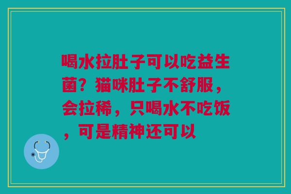 喝水拉肚子可以吃益生菌？猫咪肚子不舒服，会拉稀，只喝水不吃饭，可是精神还可以
