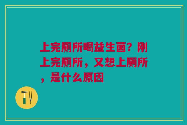 上完厕所喝益生菌？刚上完厕所，又想上厕所，是什么原因