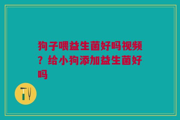 狗子喂益生菌好吗视频？给小狗添加益生菌好吗