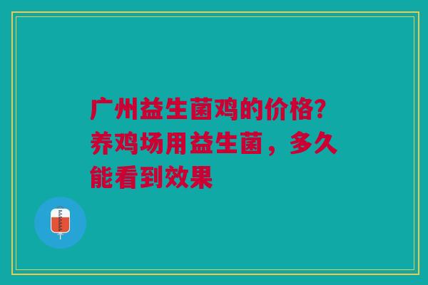 广州益生菌鸡的价格？养鸡场用益生菌，多久能看到效果