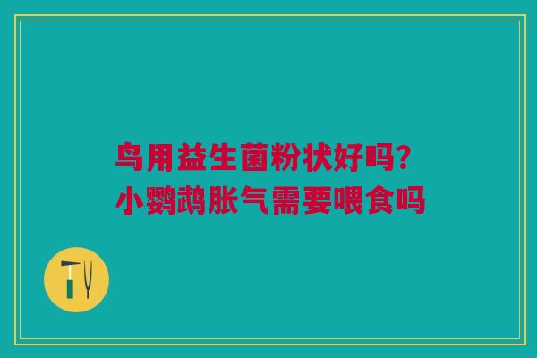 鸟用益生菌粉状好吗？小鹦鹉胀气需要喂食吗