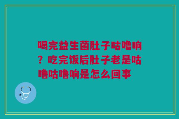 喝完益生菌肚子咕噜响？吃完饭后肚子老是咕噜咕噜响是怎么回事