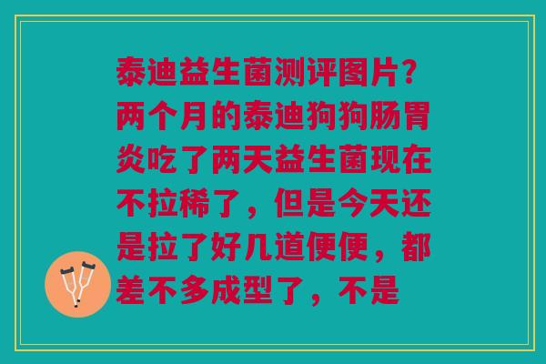 泰迪益生菌测评图片？两个月的泰迪狗狗肠胃炎吃了两天益生菌现在不拉稀了，但是今天还是拉了好几道便便，都差不多成型了，不是