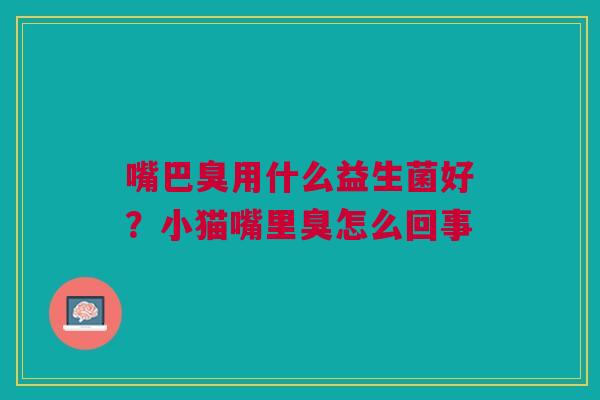 嘴巴臭用什么益生菌好？小猫嘴里臭怎么回事