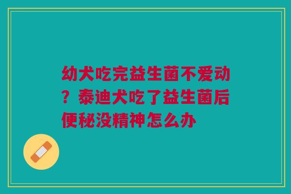 幼犬吃完益生菌不爱动？泰迪犬吃了益生菌后便秘没精神怎么办