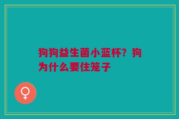 狗狗益生菌小蓝杯？狗为什么要住笼子