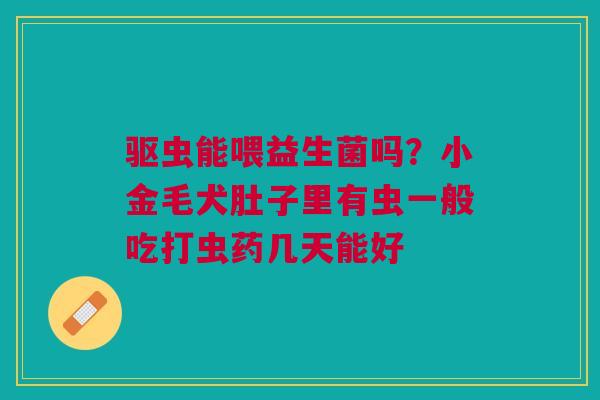 驱虫能喂益生菌吗？小金毛犬肚子里有虫一般吃打虫药几天能好