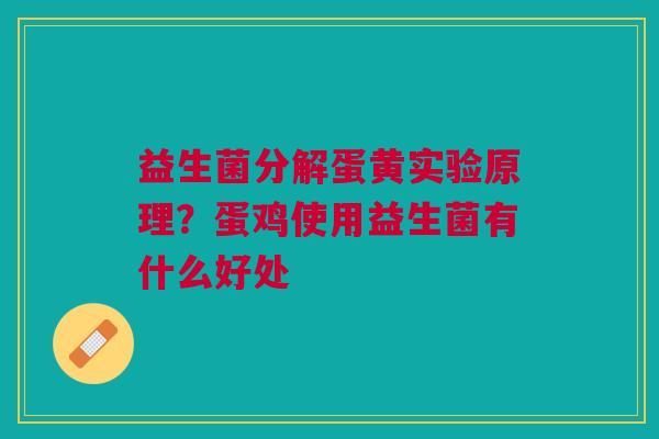 益生菌分解蛋黄实验原理？蛋鸡使用益生菌有什么好处