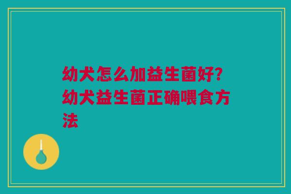 幼犬怎么加益生菌好？幼犬益生菌正确喂食方法