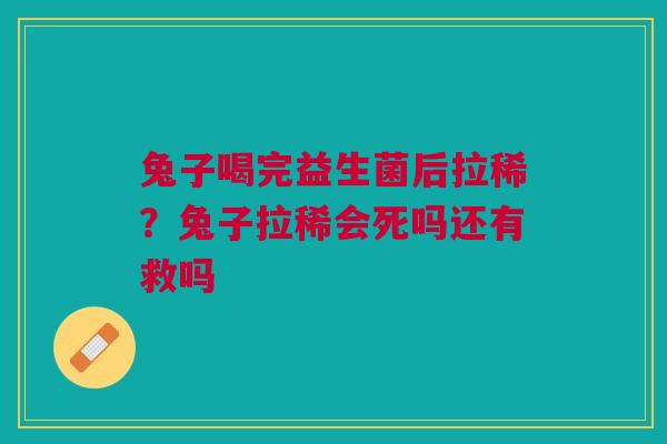 兔子喝完益生菌后拉稀？兔子拉稀会死吗还有救吗