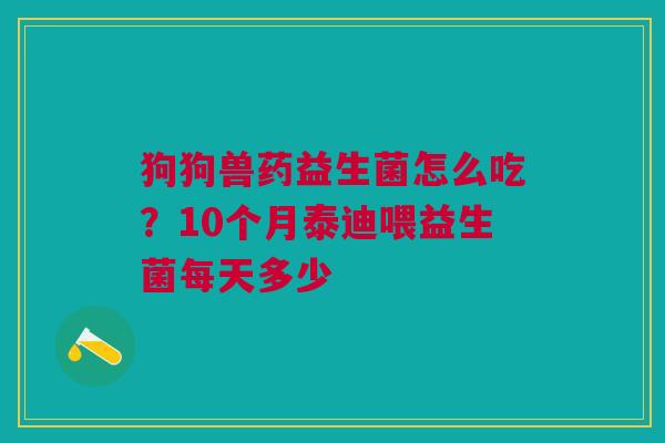 狗狗兽药益生菌怎么吃？10个月泰迪喂益生菌每天多少