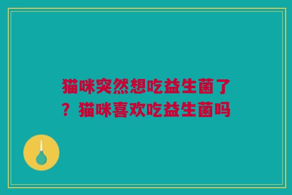 猫咪突然想吃益生菌了？猫咪喜欢吃益生菌吗