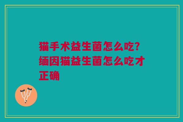 猫手术益生菌怎么吃？缅因猫益生菌怎么吃才正确
