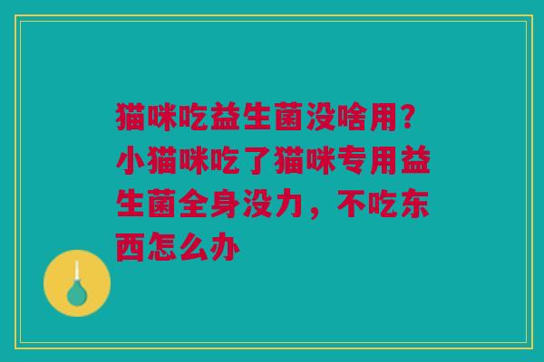 猫咪吃益生菌没啥用？小猫咪吃了猫咪专用益生菌全身没力，不吃东西怎么办