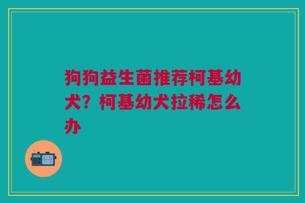 狗狗益生菌推荐柯基幼犬?柯基幼犬拉稀怎么办 狗狗益生菌推荐柯基幼犬?柯基幼犬拉稀怎么办