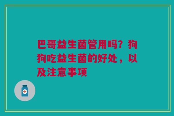 巴哥益生菌管用吗?狗狗吃益生菌的好处,以及注意事项