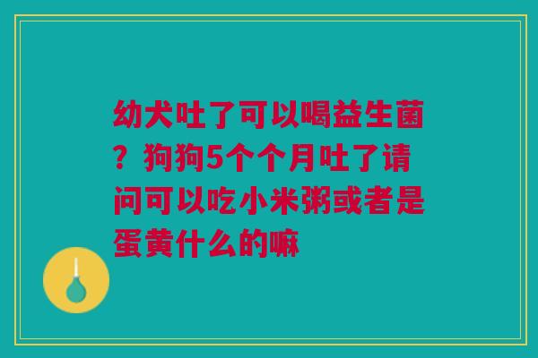 幼犬吐了可以喝益生菌?狗狗5个个月吐了请问可以吃小米粥或者是蛋黄什么的嘛 幼犬吐了可以喝益生菌?狗狗5个个月吐了请问可以吃小米粥或者是蛋黄什么的嘛