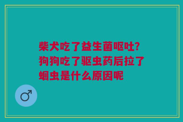 柴犬吃了益生菌?狗狗吃了驱虫药后拉了蛔虫是什么原因呢 柴犬吃了益生菌?狗狗吃了驱虫药后拉了蛔虫是什么原因呢