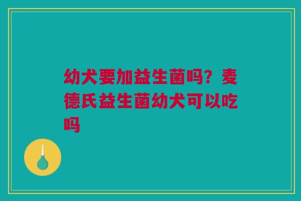 幼犬要加益生菌吗?麦德氏益生菌幼犬可以吃吗