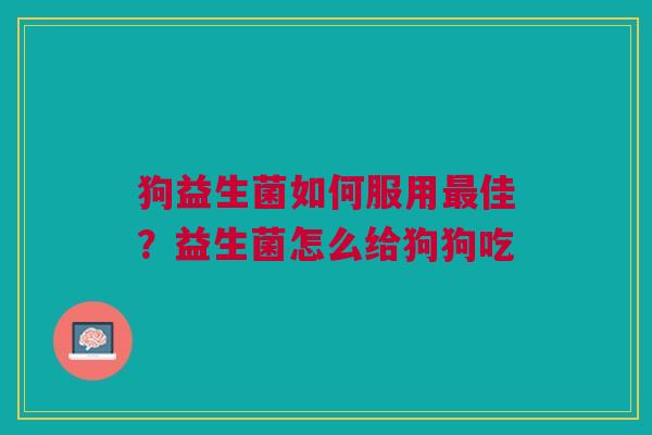 狗益生菌如何服用佳？益生菌怎么给狗狗吃