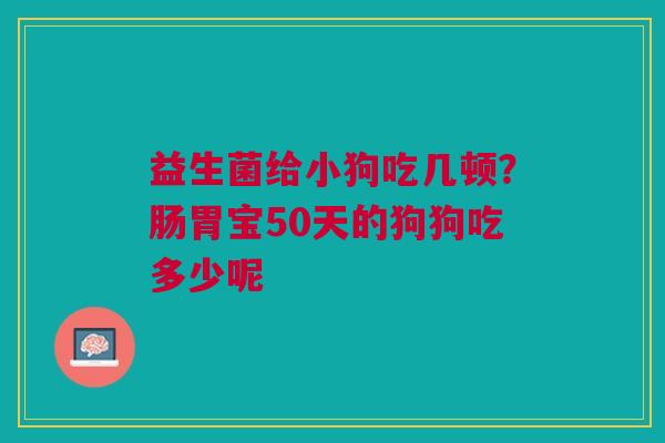 益生菌给小狗吃几顿?肠胃宝50天的狗狗吃多少呢 益生菌给小狗吃几顿?肠胃宝50天的狗狗吃多少呢