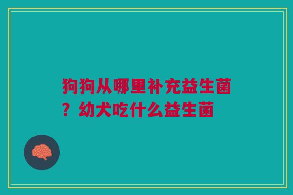 狗狗从哪里补充益生菌?幼犬吃什么益生菌 狗狗从哪里补充益生菌?幼犬吃什么益生菌