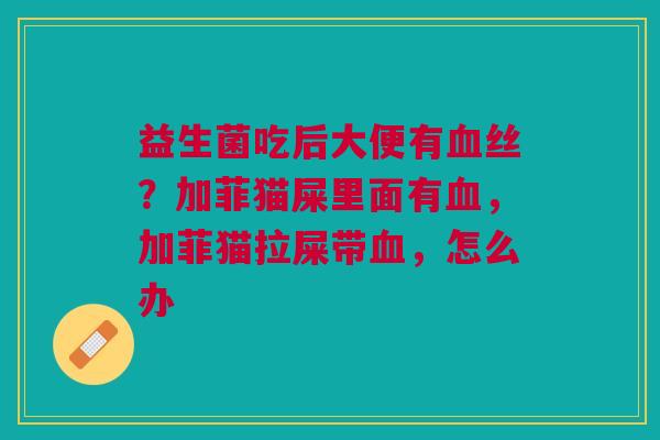 益生菌吃后大便有血丝?加菲猫屎里面有血,加菲猫拉屎带血,怎么办