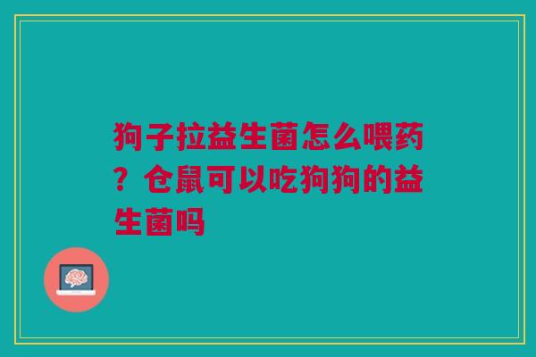 狗子拉益生菌怎么喂药?仓鼠可以吃狗狗的益生菌吗