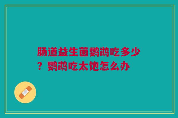 肠道益生菌鹦鹉吃多少?鹦鹉吃太饱怎么办 肠道益生菌鹦鹉吃多少?鹦鹉吃太饱怎么办