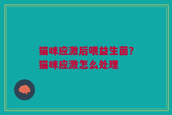猫咪应激后喂益生菌？猫咪应激怎么处理