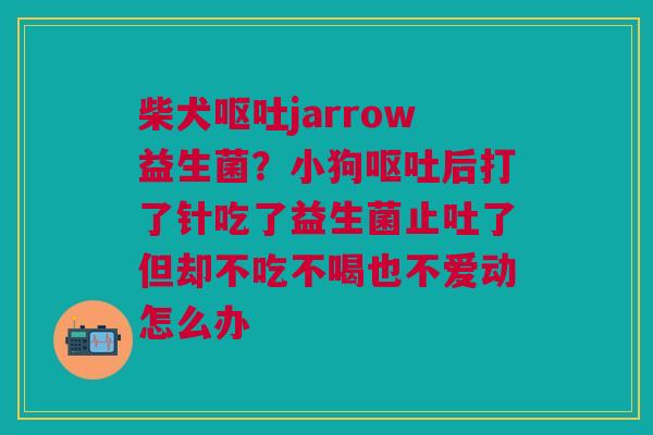 柴犬呕吐jarrow益生菌?小狗呕吐后打了针吃了益生菌止吐了但却不吃不喝也不爱动怎么办