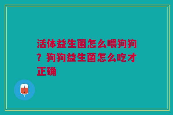 活体益生菌怎么喂狗狗?狗狗益生菌怎么吃才正确