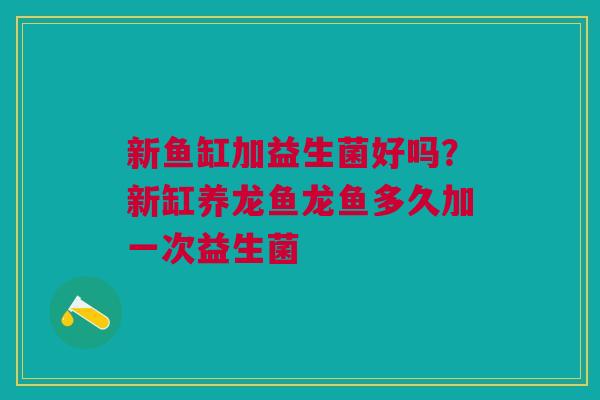 新鱼缸加益生菌好吗?新缸养龙鱼龙鱼多久加一次益生菌 新鱼缸加益生菌好吗?新缸养龙鱼龙鱼多久加一次益生菌