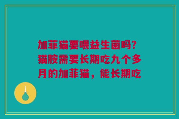 加菲猫要喂益生菌吗?猫胺需要长期吃九个多月的加菲猫,能长期吃 加菲猫要喂益生菌吗?猫胺需要长期吃九个多月的加菲猫,能长期吃
