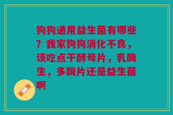 狗狗通用益生菌有哪些?我家狗狗,该吃点干酵母片,乳酶生,多酶片还是益生菌啊 狗狗通用益生菌有哪些?我家狗狗,该吃点干酵母片,乳酶生,多酶片还是益生菌啊