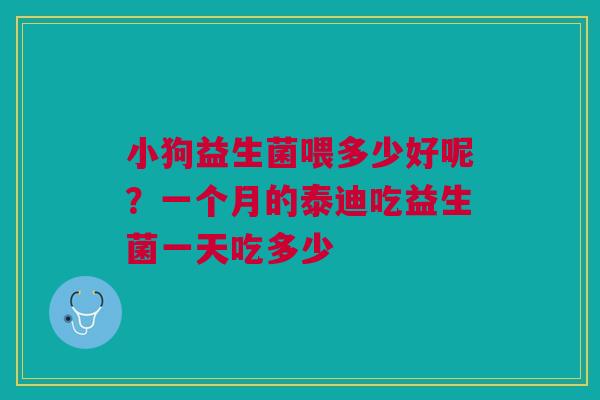 小狗益生菌喂多少好呢?一个月的泰迪吃益生菌一天吃多少 小狗益生菌喂多少好呢?一个月的泰迪吃益生菌一天吃多少