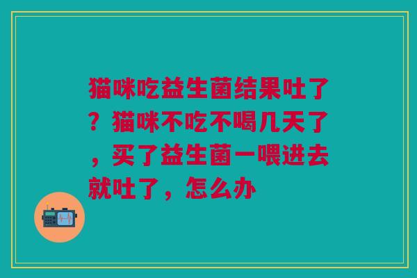 猫咪吃益生菌结果吐了?猫咪不吃不喝几天了,买了益生菌一喂进去就吐了,怎么办 猫咪吃益生菌结果吐了?猫咪不吃不喝几天了,买了益生菌一喂进去就吐了,怎么办