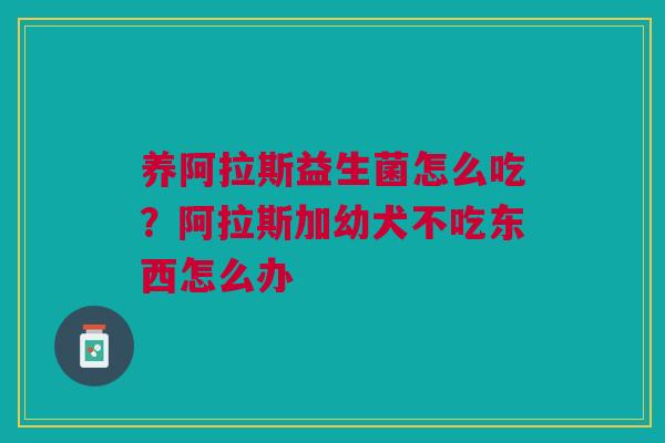 养阿拉斯益生菌怎么吃?阿拉斯加幼犬不吃东西怎么办