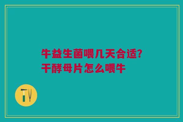 牛益生菌喂几天合适？干酵母片怎么喂牛